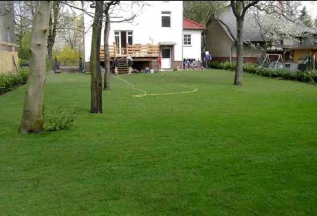 Zdjęcie z galerii